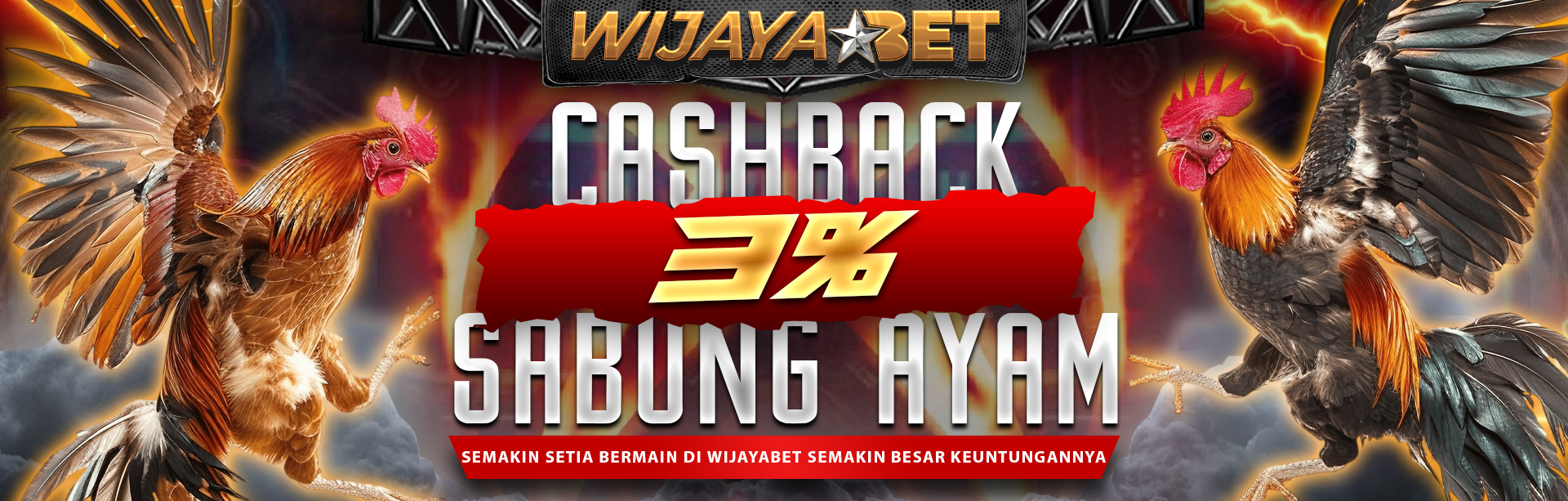 SABUNG AYAM CASHBACK 3%