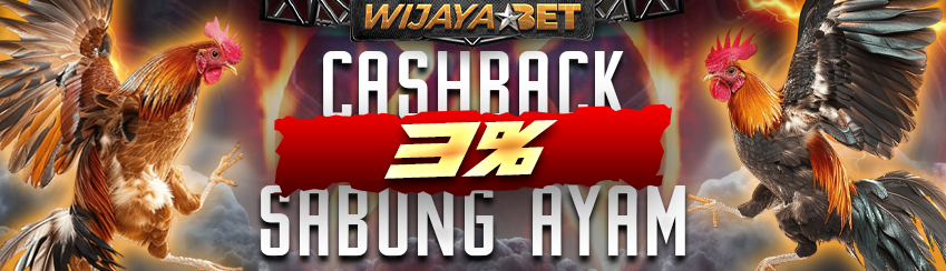 SABUNG AYAM CASHBACK 3%